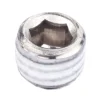 Bleed Screw