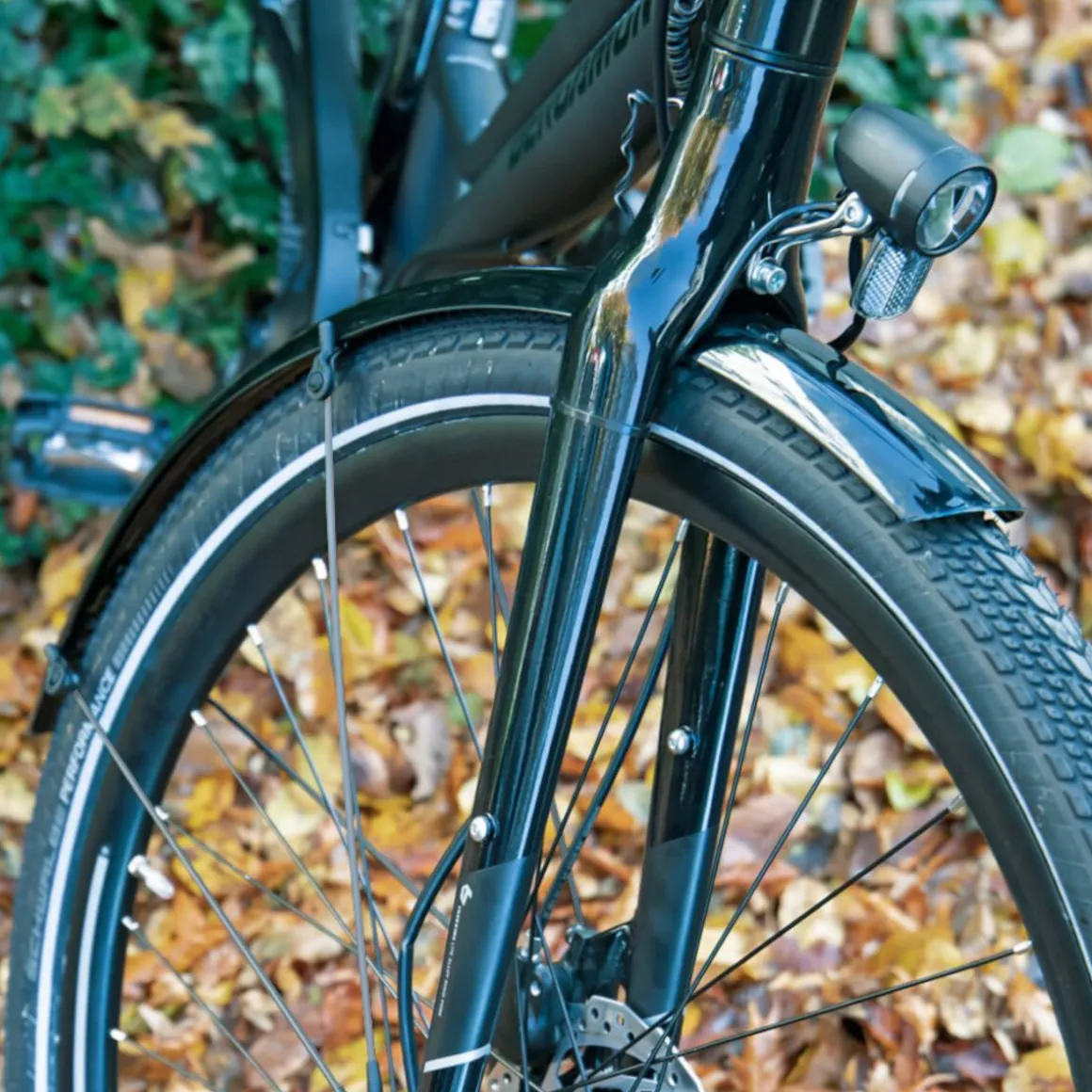 Bluemels Basic 28" Mudguard Set 35 mm, Incl. Struts