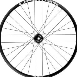 Deemax Park Disc 29” MTB Front Wheel BOOST (15 x 110 mm) 6 Bolt