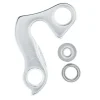 Derailleur Hanger 09
