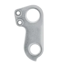 Derailleur Hanger 29