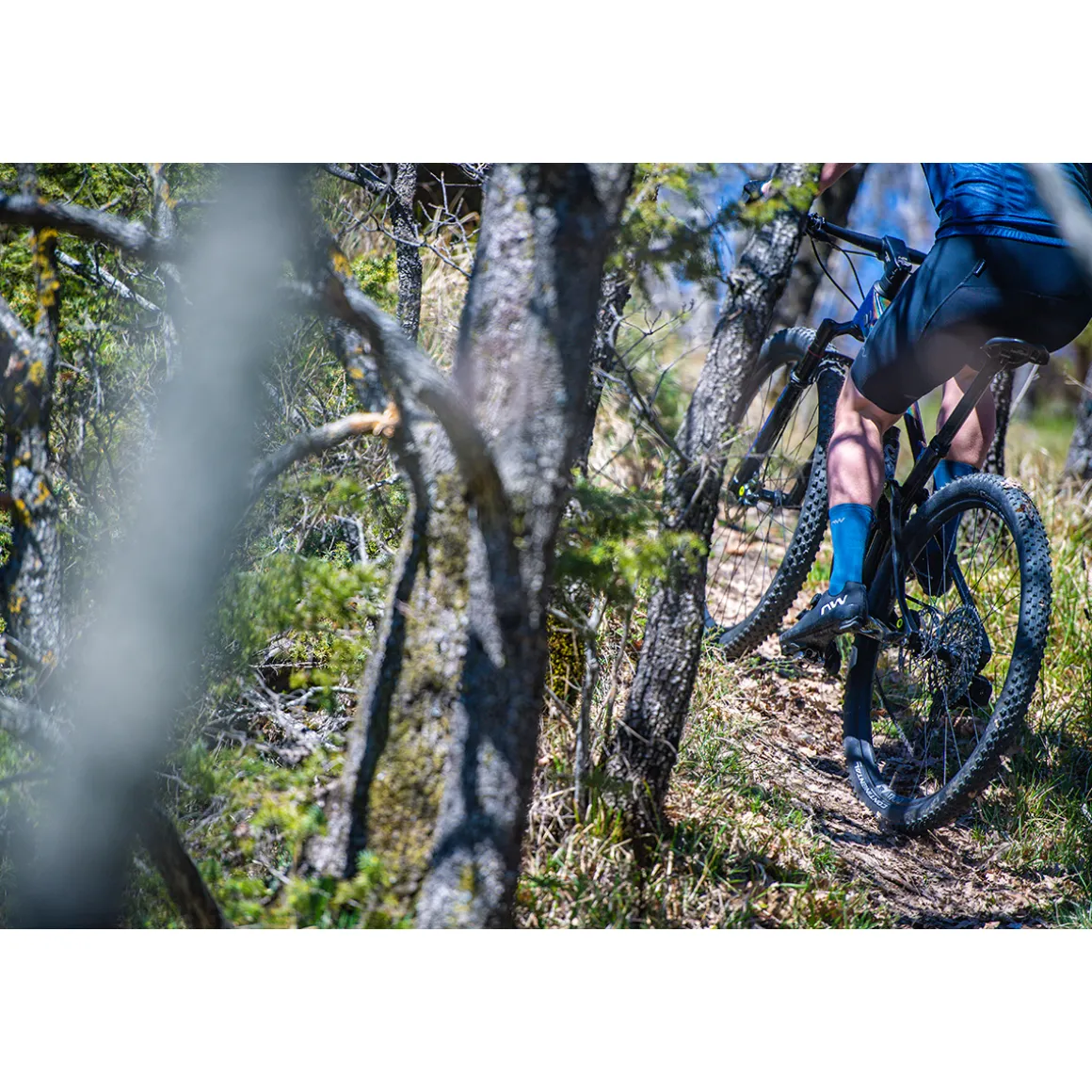 EXTREME XCM 4 MTB Shoes