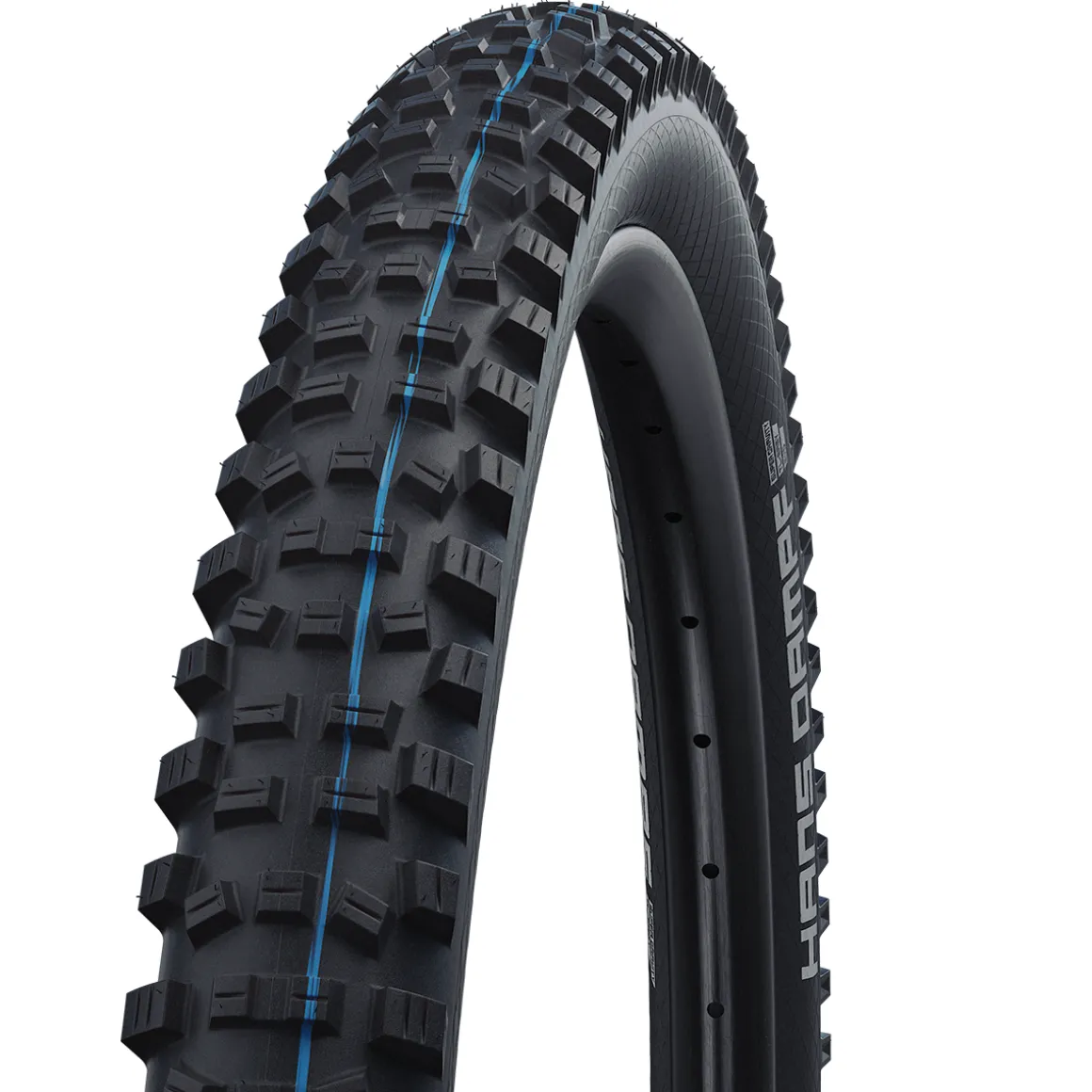 Hans Dampf Evolution Super Trail ADDIX Speedgrip TLE MTB Folding Tyre