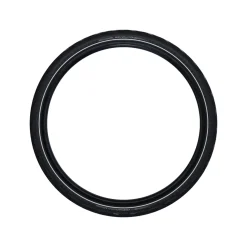 MARATHON EFFICIENCY Evolution Line Touring Folding Tyre