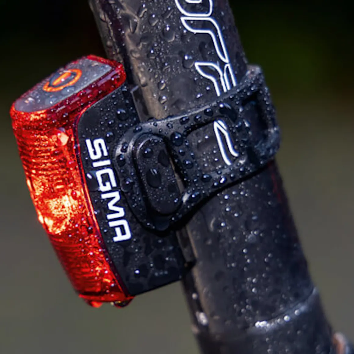 Replacement Holder for Rear Lights