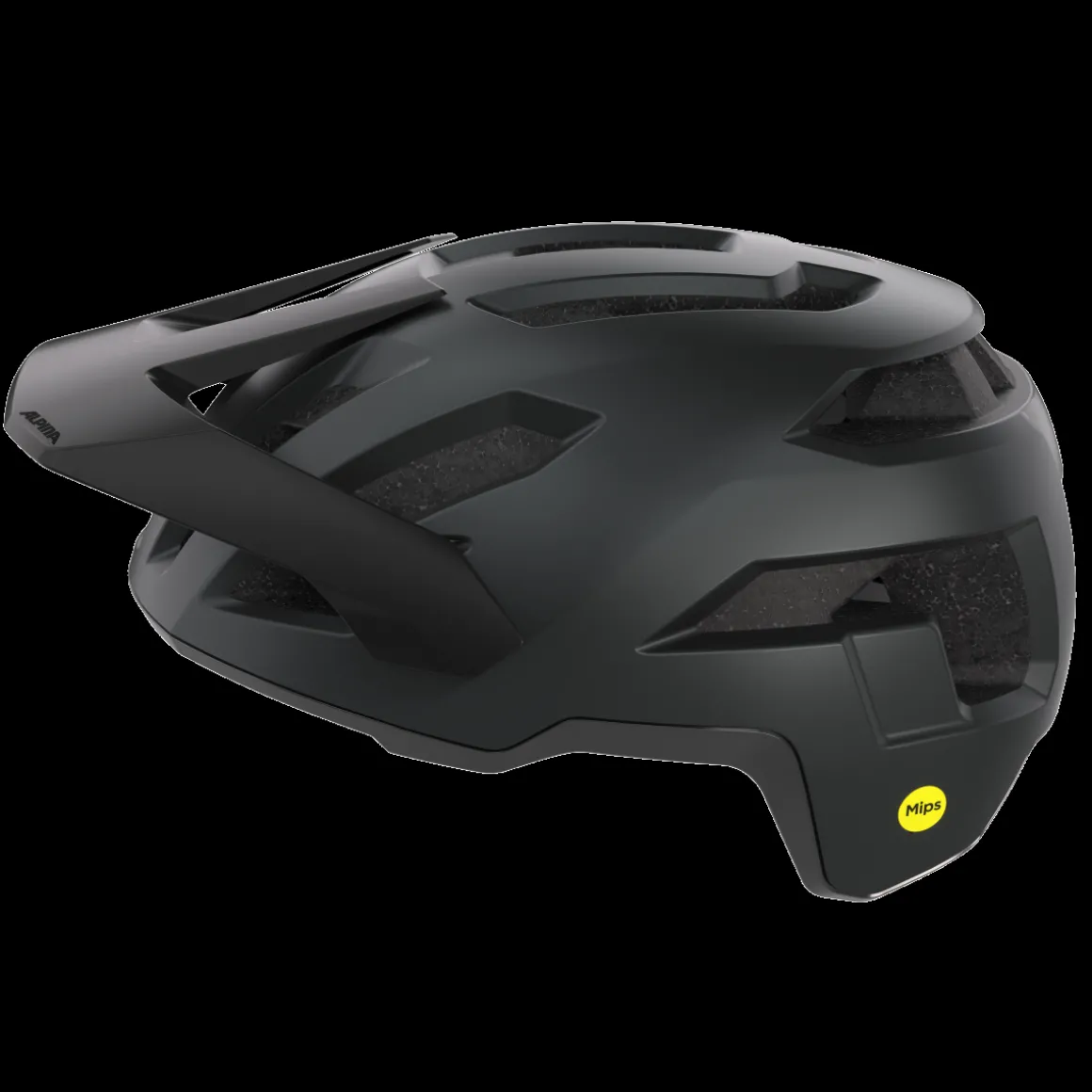 TAUNUS MIPS MTB Helmet