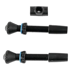 Tubeless valves for Compact Tubeless Refill System