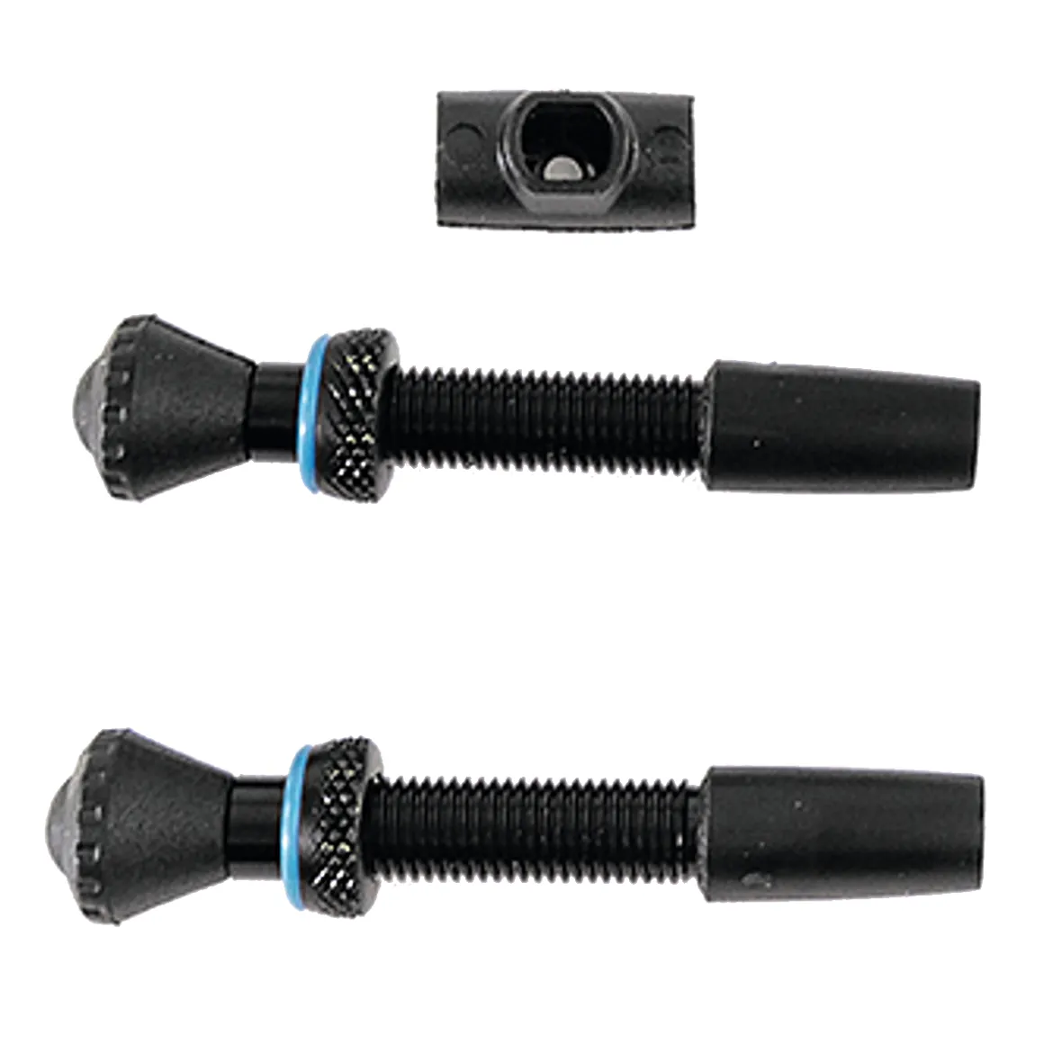 Tubeless valves for Compact Tubeless Refill System