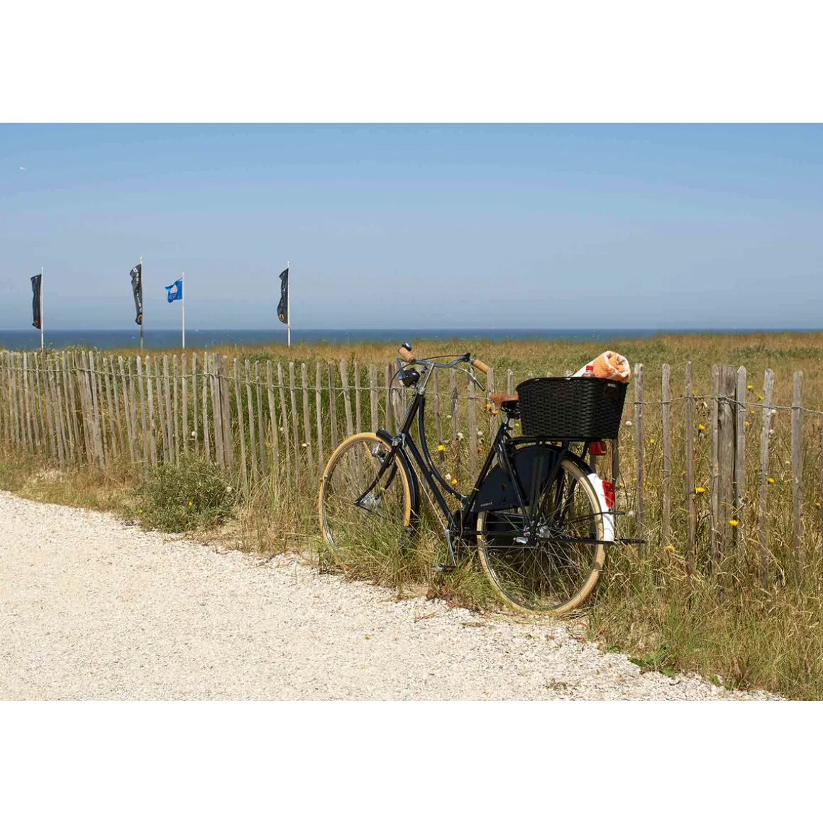 WEAVE WP Rear Bike Basket