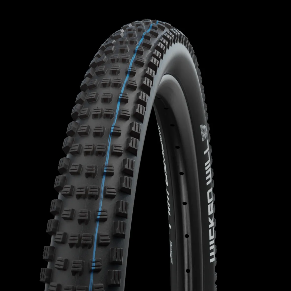 Wicked Will Evolution Addix SpeedGrip Super Ground TLE MTB Folding Tyre