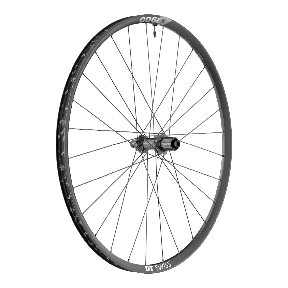 X 1900 Spline® 25 SHIMANO HG Disc 29" MTB Rear Wheel, MY2022